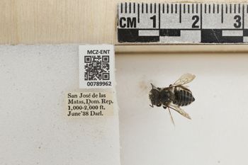 Media type: image;   Entomology 789962 Aspect: Labels